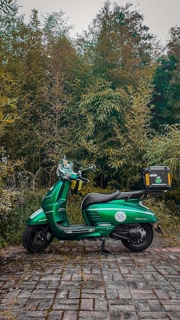 green power mobility scooter manual pdf free download
