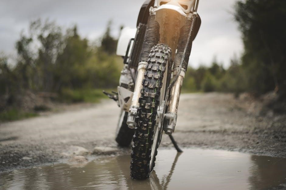 who makes trail guide tires